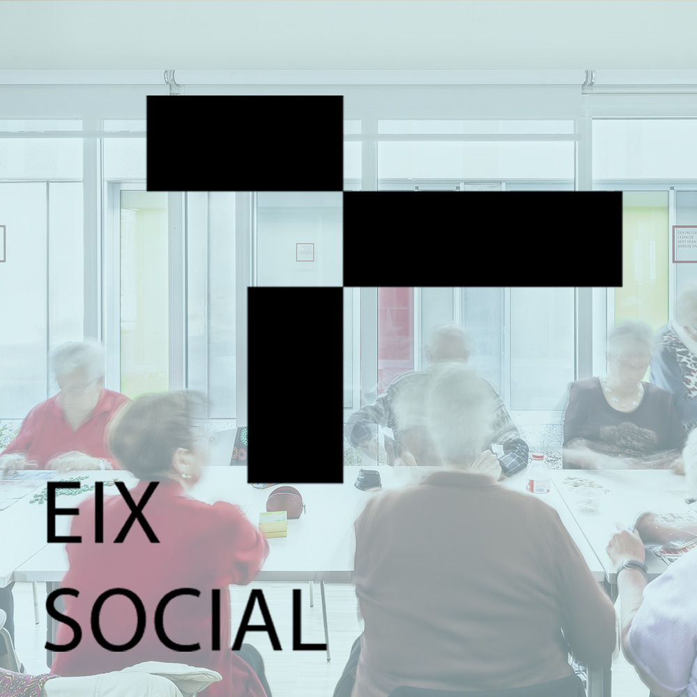EIX SOCIAL1